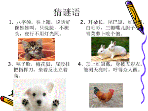 单元四作文——我喜欢的小动物(1).ppt