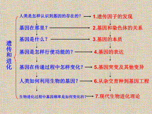 生物：11孟德尔的豌豆杂交实验（一）精品课件（人教版必修2）.ppt