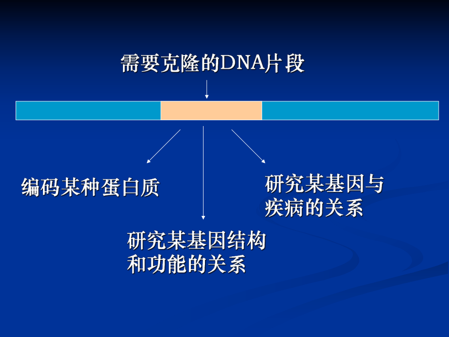 第五章目的基因的获取.ppt_第2页