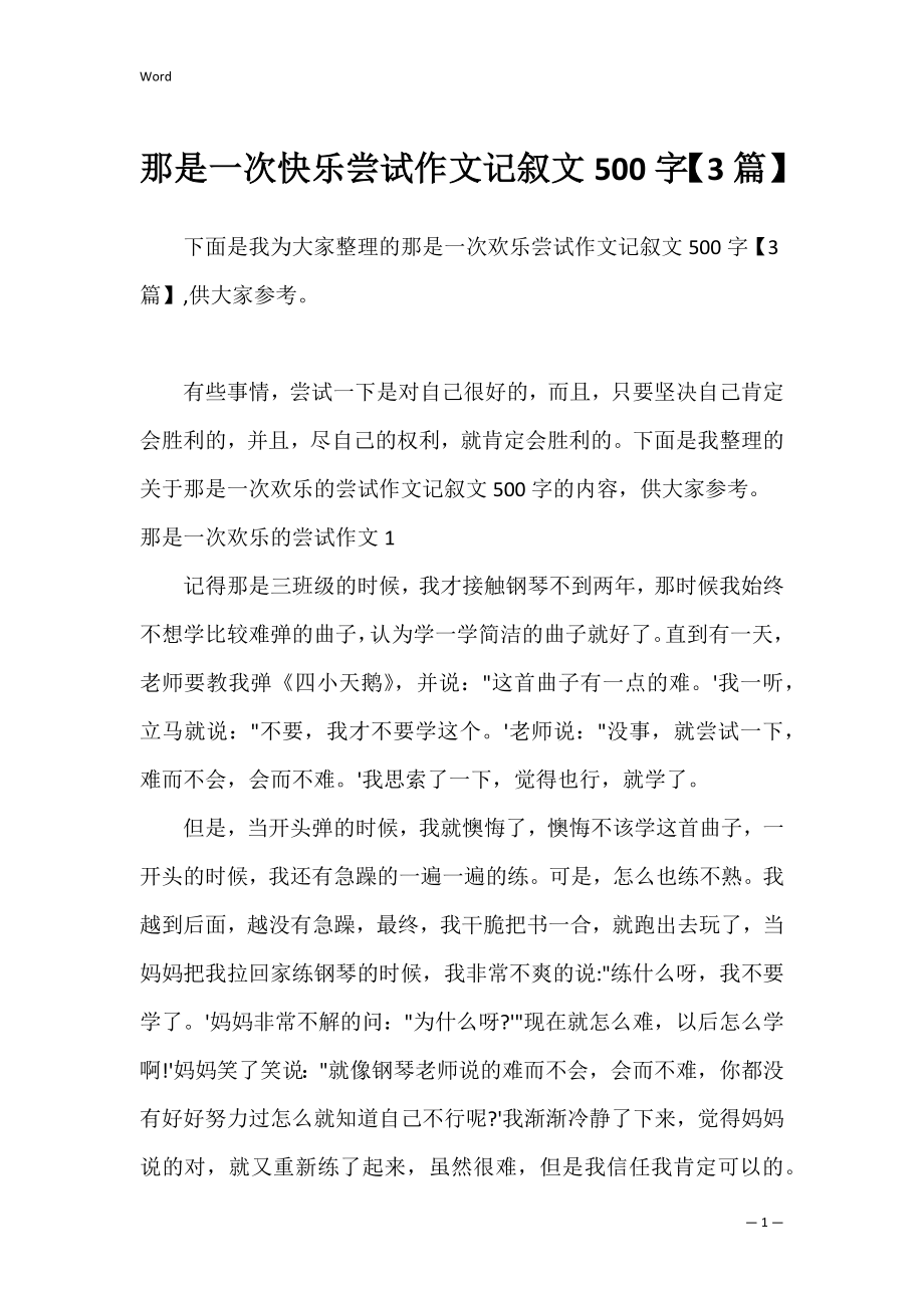 那是一次快乐尝试作文记叙文500字【3篇】.docx_第1页