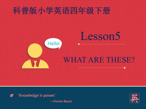 科普版小学英语四年级下册Lesson5 Whatarethese.ppt