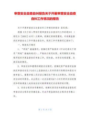 审查安全自查自纠报告关于开展审查安全自查自纠工作情况的报告.doc