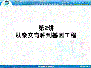 2013届高考新课标生物一轮复习课件：242从杂交育种到基因工程.ppt