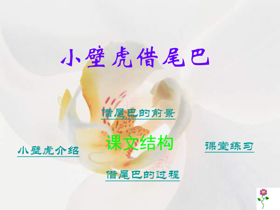 小壁虎借尾巴PPT课件.ppt_第1页