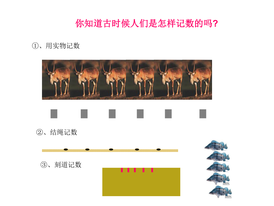 数的产生课件1.ppt_第2页