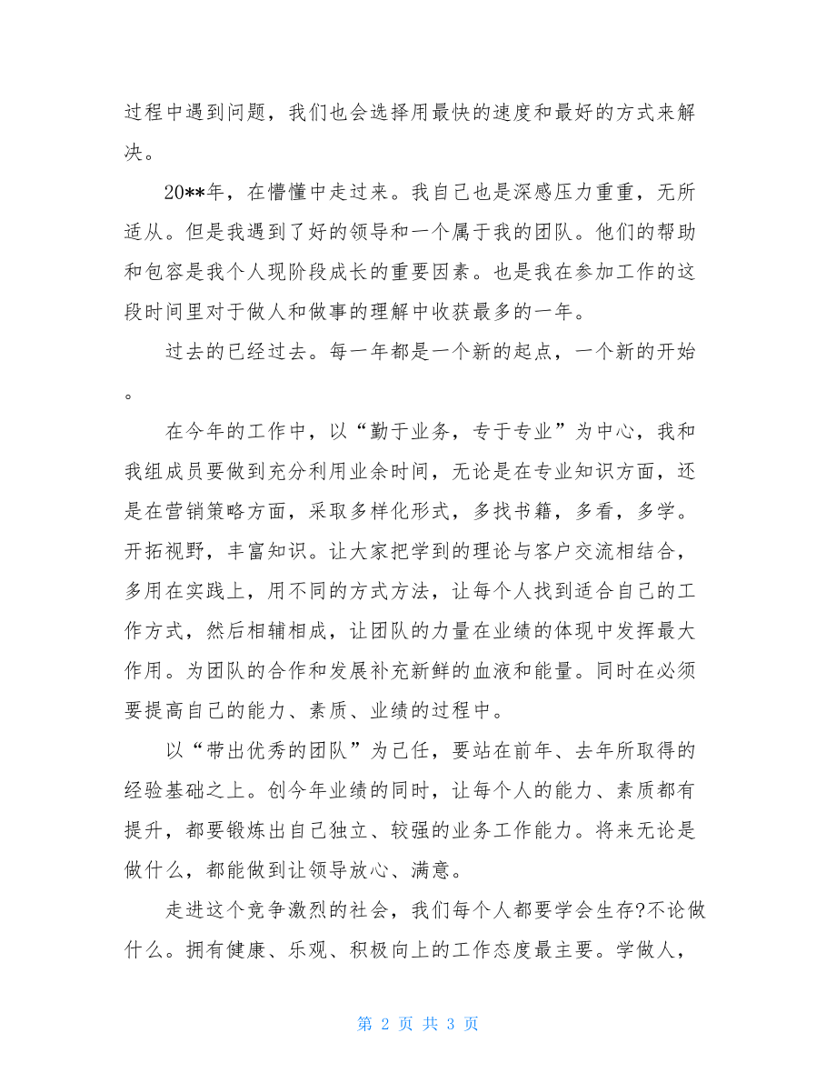 关于销售总监个人工作总结范文个人工作总结范文大全.doc_第2页