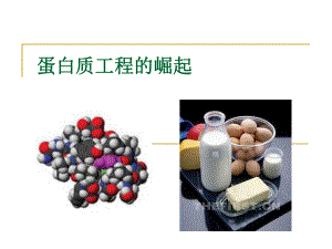 14_蛋白质工程的崛起(上课用) (2).ppt