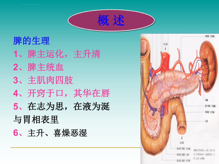 脾胃病辨证ppt课件.ppt_第2页