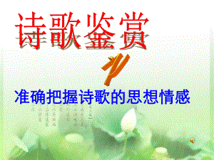 《准确把握诗歌的思想感情》课件.ppt