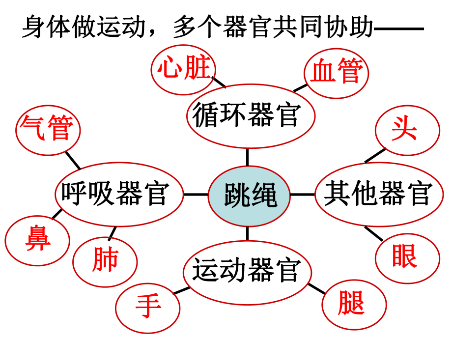 相互协作的人体器官.ppt_第2页