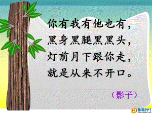 竹影（曲江小学：魏娜）.ppt