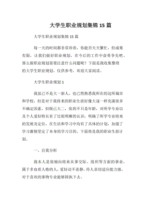 大学生职业规划集锦15篇 (2).docx