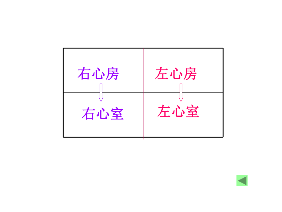 15章第1节心脏血液20131221543124456.ppt_第2页