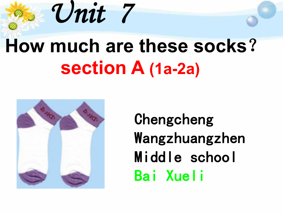 陕西省澄城县王庄镇中学七年级英语上册《Unit7Howmucharethesesocks？》正式课件新人教版.ppt_第2页