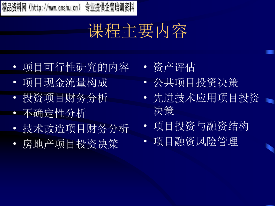 现代企业项目投资融资决策.pptx_第2页