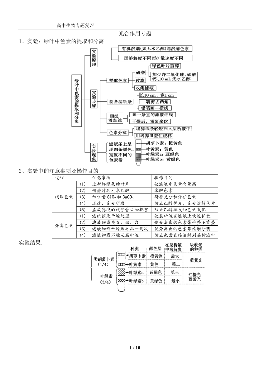 光合作用复习专题.doc_第1页