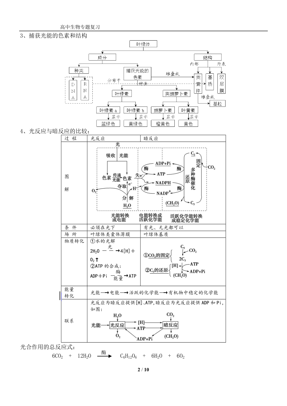 光合作用复习专题.doc_第2页