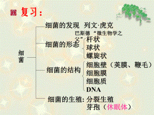 新人教版第三节真菌.ppt