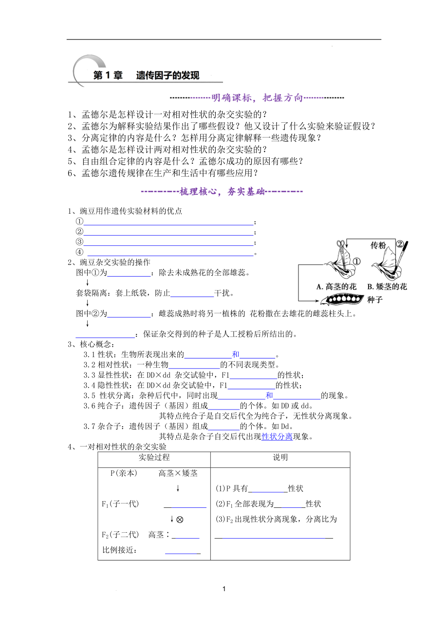 高中生物必修2《第1章遗传因子的发现》基础填空 学生版.docx_第1页