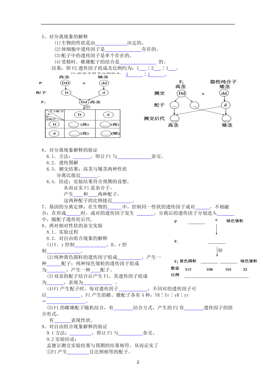 高中生物必修2《第1章遗传因子的发现》基础填空 学生版.docx_第2页