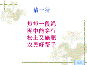 《蚯蚓》PPT课件[1].ppt