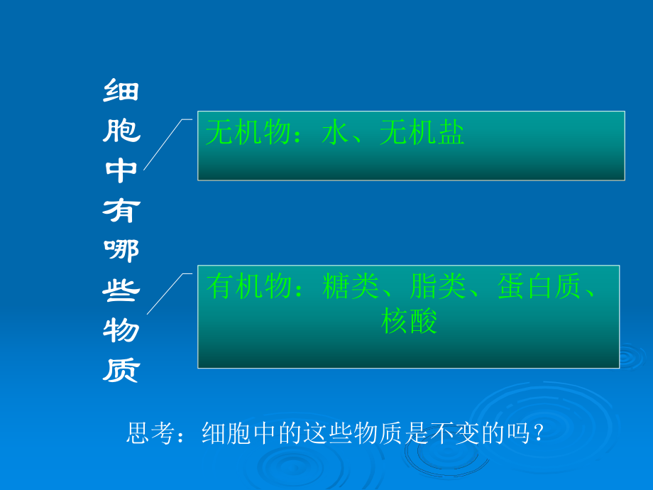 第一节　细胞的生活需要物质和能量.ppt_第2页