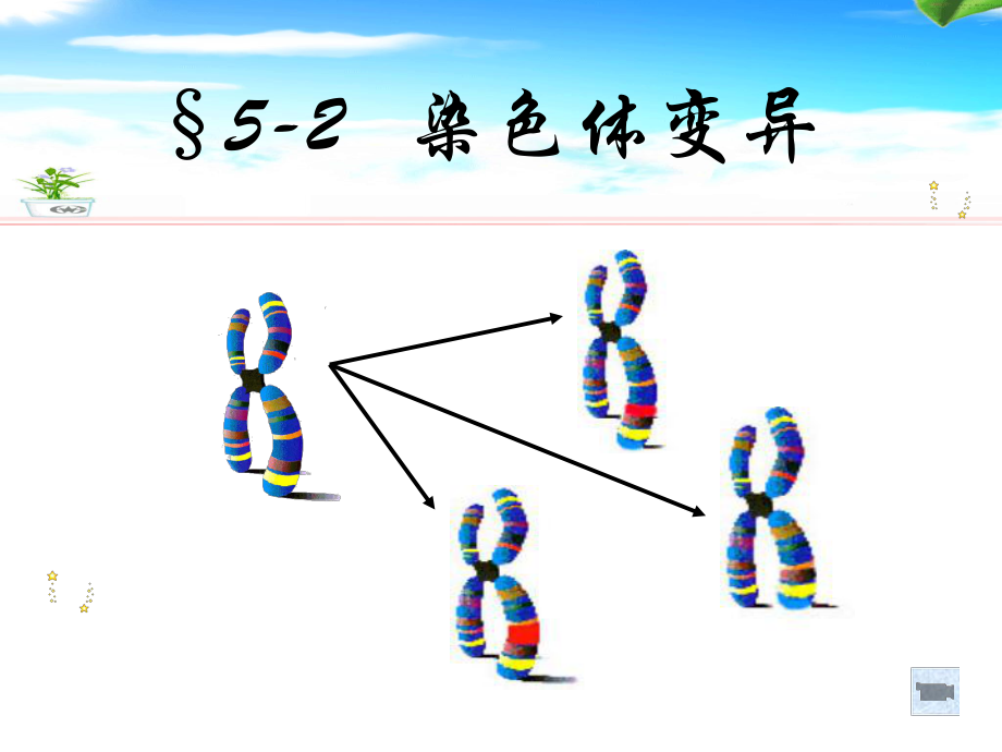 必修二第五章第一节--染色体变异课件.ppt_第1页