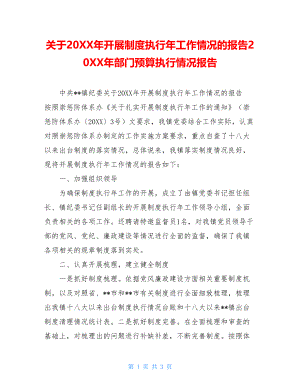 关于20XX年开展制度执行年工作情况的报告20XX年部门预算执行情况报告.doc