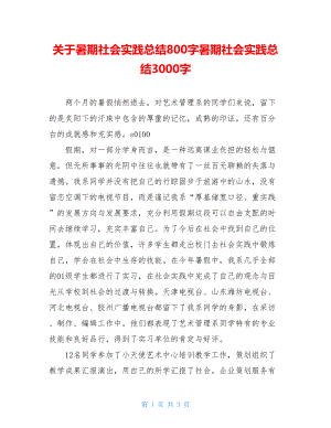 关于暑期社会实践总结800字暑期社会实践总结3000字.doc