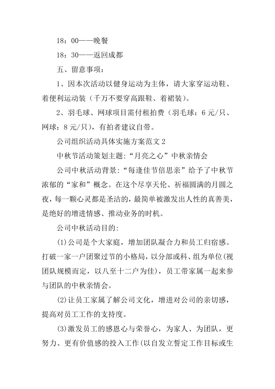 公司组织活动详细实施方案范文范例.docx_第2页