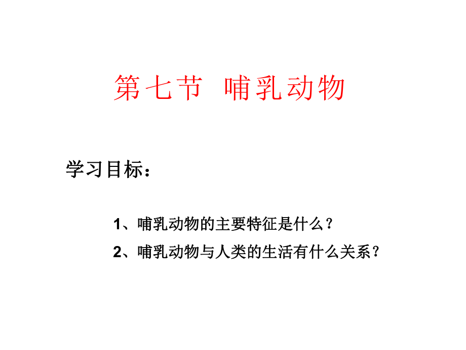 哺乳动物 (2).ppt_第1页