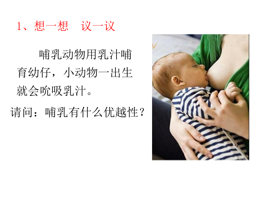 哺乳动物 (2).ppt_第2页