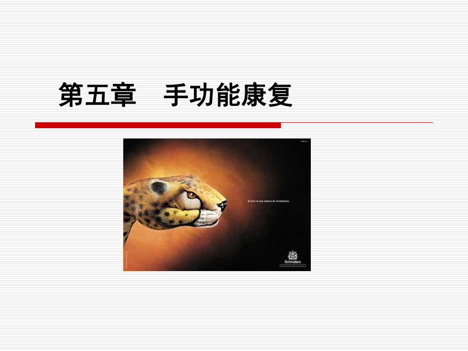 手功能康复ppt课件.ppt_第1页