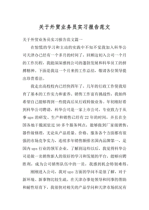 关于外贸业务员实习报告范文范例.docx