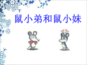 鼠小弟和鼠小妹 (2).ppt