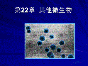 微生物-第22章-其他原核细胞型微生物ppt课件.ppt