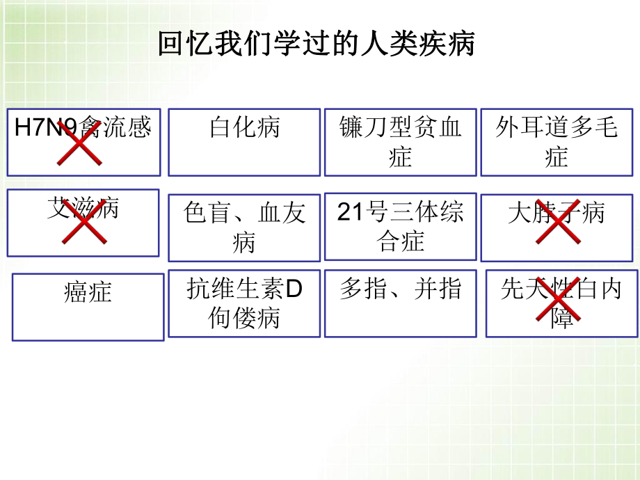 人类遗传病(上课)ppt课件.ppt_第2页