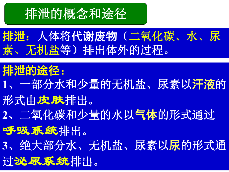 专题五—4_人体内废物的排出.ppt_第2页