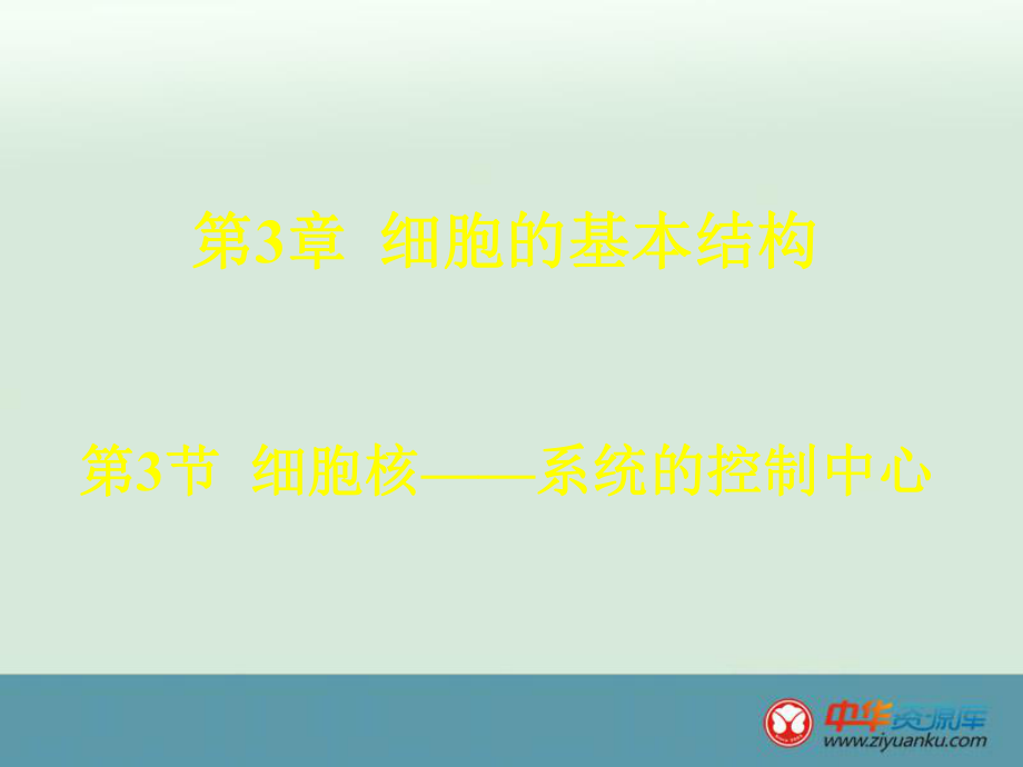 2015年湖北省谷城二中高一生物课件：第3章+第3节《细胞核——系统的控制中心》（人教版必修1）.ppt_第1页