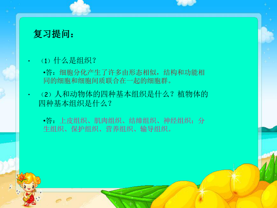 生物体的器官系统.ppt_第2页