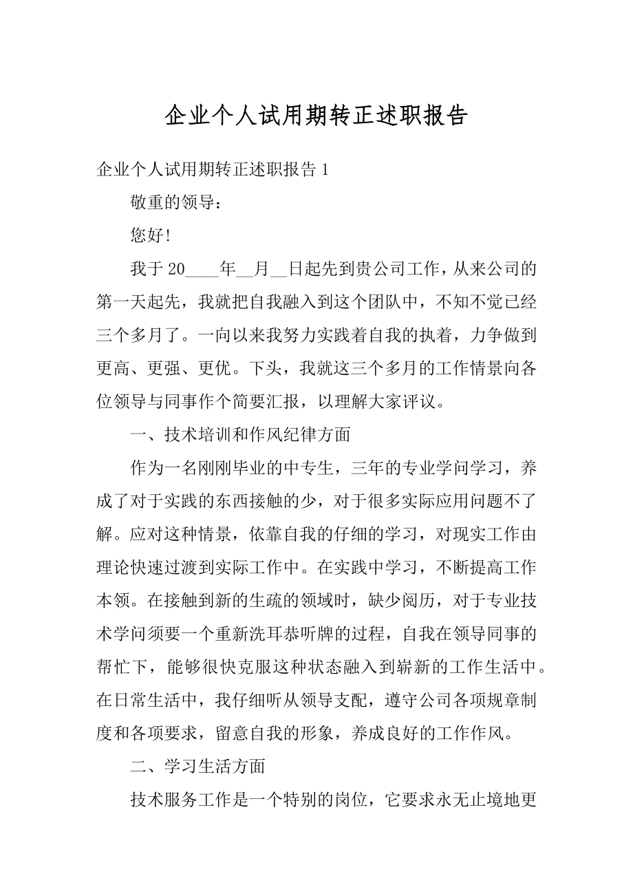 企业个人试用期转正述职报告优质.docx_第1页