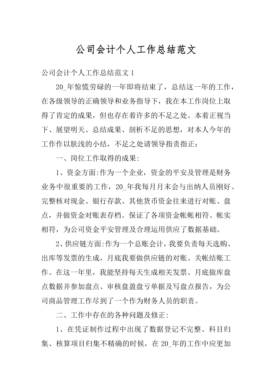 公司会计个人工作总结范文优质.docx_第1页