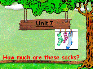 公开课!How_much_are_these_socks.ppt