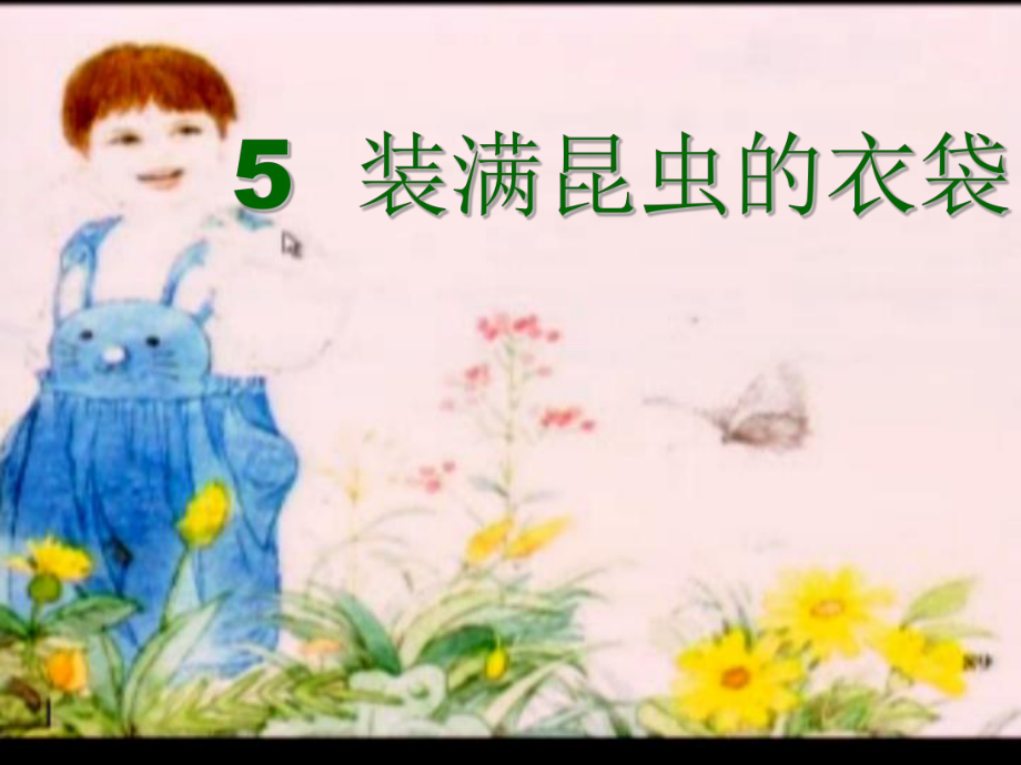 5__装满昆虫的衣袋.ppt_第2页