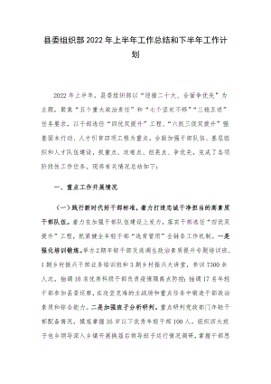 县委组织部2022年上半年工作总结和下半年工作计划.docx