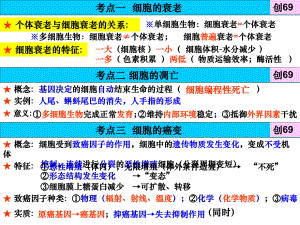 复习课件细胞衰老、凋亡和癌变——陈芬制作.pptx