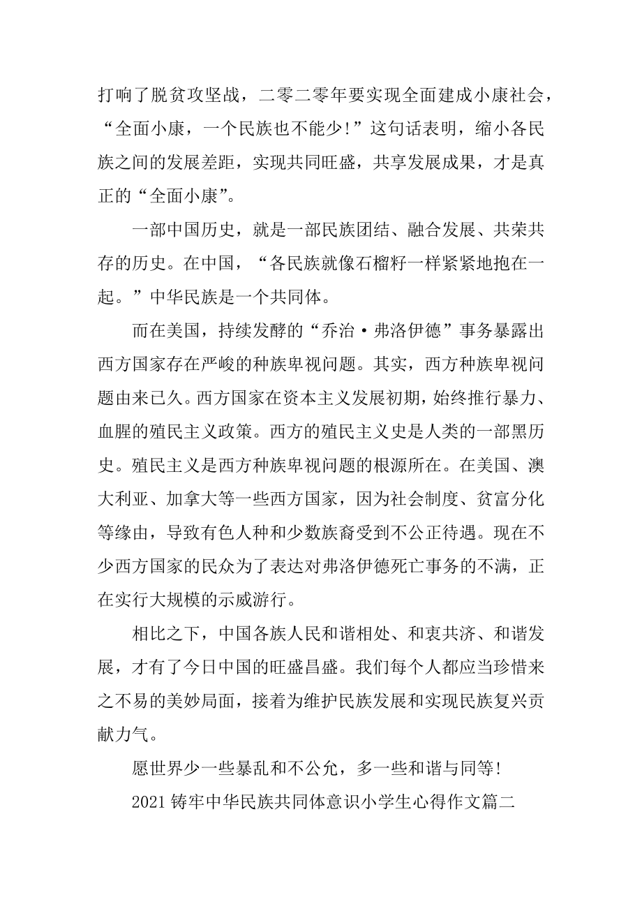 2021铸牢中华民族共同体意识小学生心得作文范本.docx_第2页