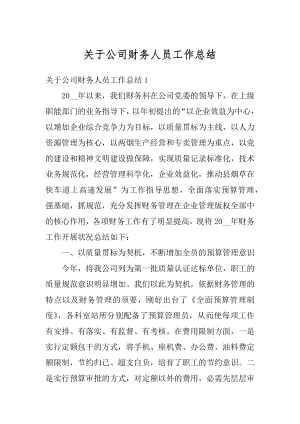 关于公司财务人员工作总结汇总.docx