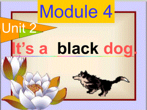 三上M4-U2-It's-a-black-dog.ppt