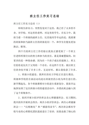 班主任工作实习总结范例.docx